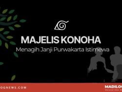 Jelang 100 Hari Kerja ZeinJo di Purwakarta: Omon-Omon atau Aksi Nyata? Publik Menagih!