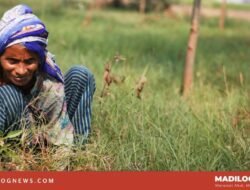 Perempuan di Purwakarta Masih Tertinggal dalam Dunia Kerja, Ini Angkanya