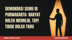 Demokrasi Semu