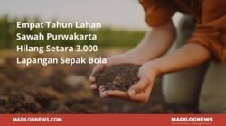 Buka Data: Empat Tahun, Lahan Sawah Purwakarta Hilang Setara 3.000 Lapangan Sepak Bola 7 Empat Tahun, Lahan Sawah Purwakarta Hilang Setara 3.000 Lapangan Sepak Bola