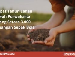 Buka Data: Empat Tahun, Lahan Sawah Purwakarta Hilang Setara 3.000 Lapangan Sepak Bola
