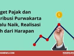Target Pajak dan Retribusi Purwakarta Selalu Naik, Realisasi Jauh dari Harapan