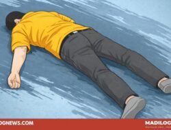 Anggota Brimob Polda Maluku Diduga Aniaya Warga hingga Tewas di Tual, HMI Purwakarta: Negara Hukum Tak Boleh Toleransi Kekerasan oleh Aparat