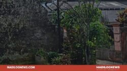 Warga Keluhkan Tiang Wifi MyRepublic Berdiri di Pekarangan Rumah, Kompensasi Tak Jelas