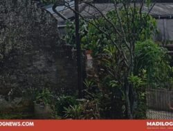 Warga Keluhkan Tiang Wifi MyRepublic Berdiri di Pekarangan Rumah, Kompensasi Tak Jelas