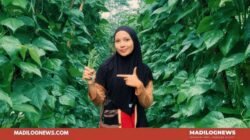 WhatsApp Image 2026 04 09 at 18.27.09