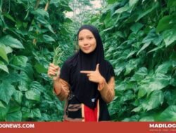 Deagrarisasi: Krisis Regenerasi Petani dan Erosi Kedaulatan Pangan